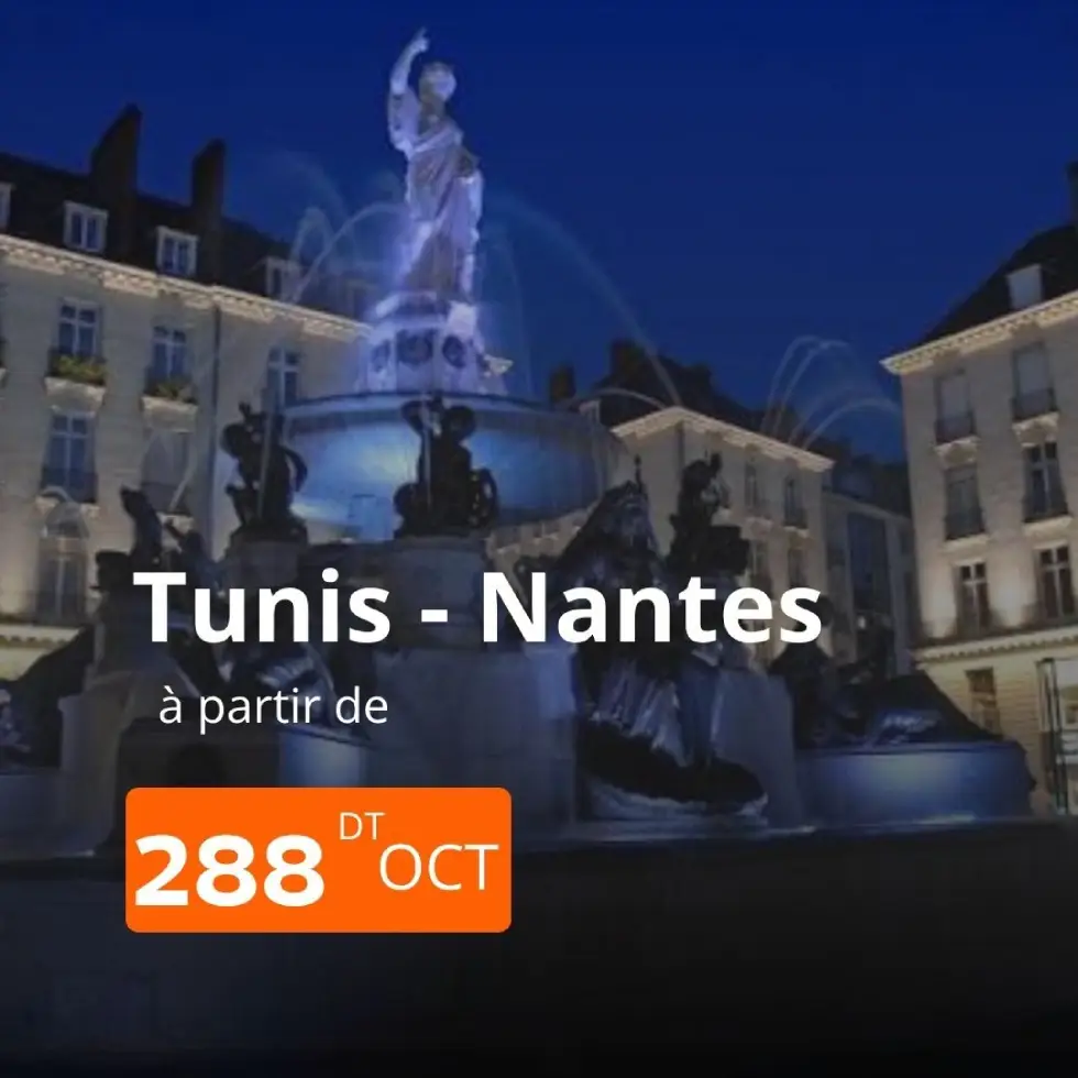 billet direct Tunis Nantes